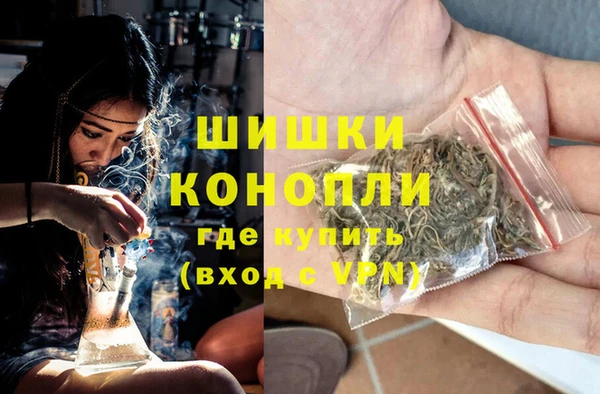 стаф Магадан