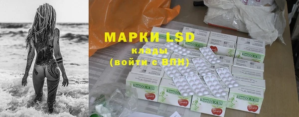 индика Липки