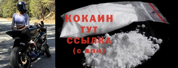 PSILOCYBIN Майский