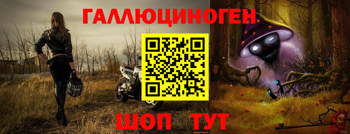 Жуковский  Галлюциногенные грибы мухоморы  Псилоцибиновые грибы прущие грибы  Вход с VPN 