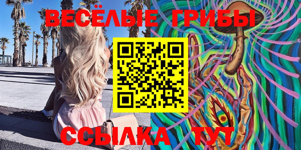 что такое наркотик  Галлюциногенные грибы Magic Shrooms  Жуковский  Псилоцибиновые грибы мицелий 